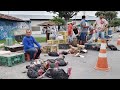 FEIRA DA GALINHA EM CUPIRA-PE     07-06-2023  #nordeste