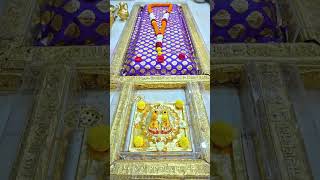 Madhyan Aarti Darshan 🙏 Sai Baba Blessings at Noon 🌼