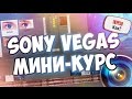 Sony Vegas - Для начинающих | Мини-Курс | Туториал