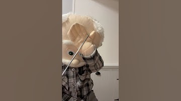 I got 7 good strokes that will make you crazy baby #comedian #comedy #muppet #