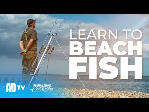 Learn To Beach Fish Basic Beach Fishing Techniques - Sea Fishing Quickbite