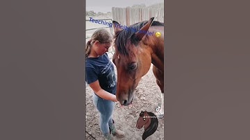 Teaching my horse to smile!