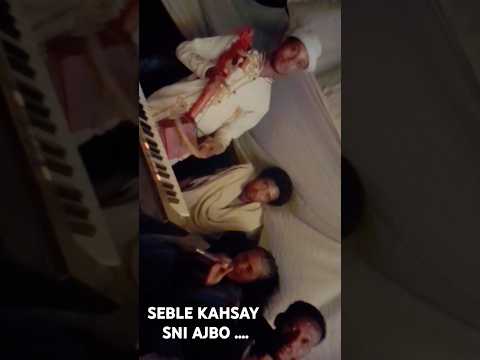 ሰብለ ካሕሳይ ስኒ ኣጅቦ Seble Kahsay Habesha Music Real Yoytubeshorts