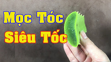 Chỉ cần 1 tuần áp dụng theo cách này, tóc mọc như mưa và giảm gãy rụng hoàn toàn_Cách làm đẹp