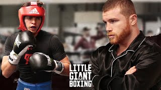 EXCLUSIVE: CANELO WATCHES RYAN GARCIA SPAR, IMPRESSED & GIGGLES WHILE WATCHING - LITTLE GIANT BOXING