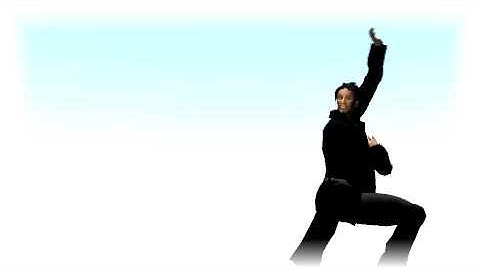 SL SLOW MOTION VOLUME 02