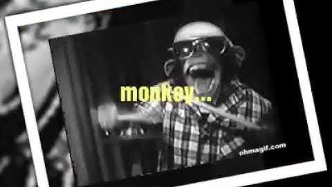 Awie - Funky monyet