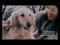 보아 BoA Be With You 뮤직비디오 PV MV 일본어 독음 번역 자막 mp3
