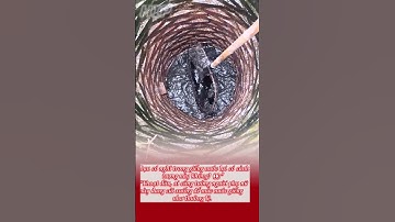 Kỳ lạ giếng nước thành nơi trú ngụ của cá trê đen 🐟