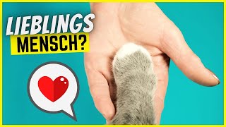 Bist du der Lieblingsmensch deiner Katze? So erkennst du es!