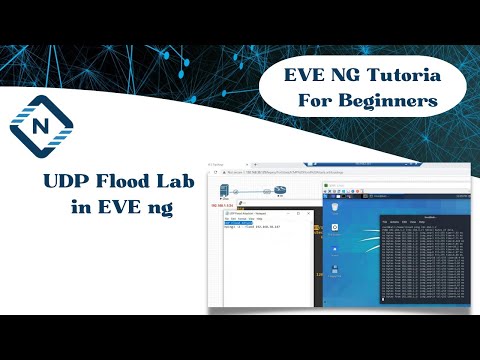 UDP Flood Lab in EVE ng | Networkforyou | CCNA