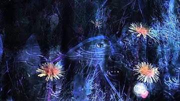 openFrameworks demo particles and movie