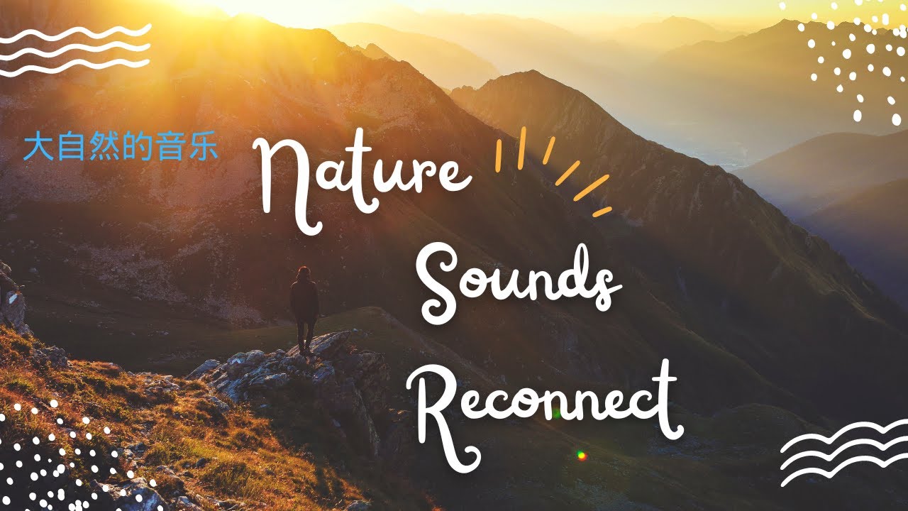 Reconnect Sound Nature Sounds Relax and Reconnect - YouTube