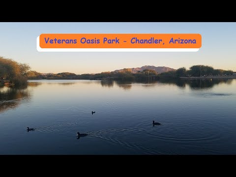 Video: Veterans Oasis Park Chandler – Veterans Oasis Parki keskkonnahariduskeskus
