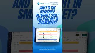 What is the difference between a sheet and a report in Smartsheet