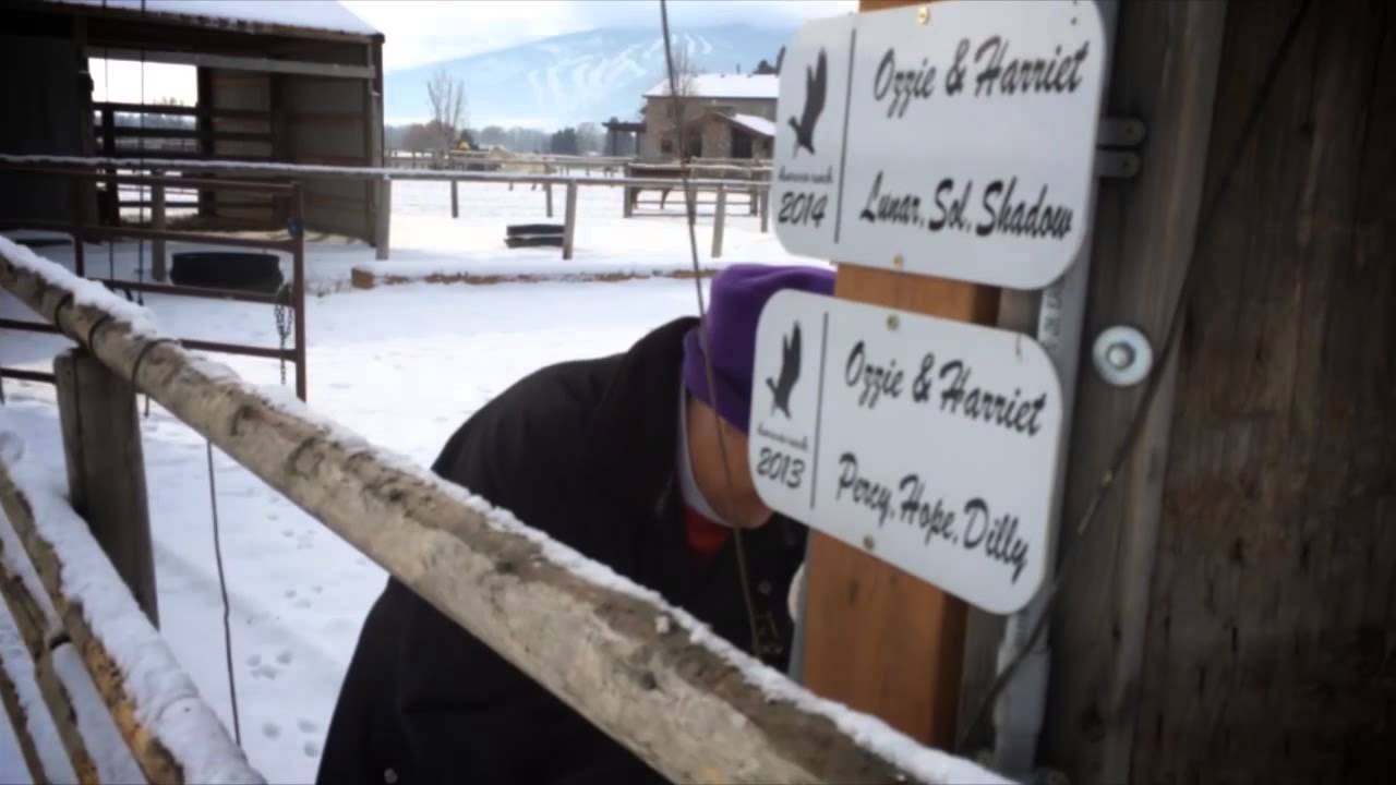 Cyber Ranch, The Trailer - YouTube