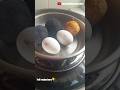 Steam Directly Like This Eggs 3kind Of Eggs Steam Like This рџ Steam Directly Like This Eggs 3kind Of Eggs Steam Like This рџ