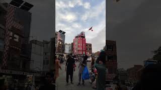 flying bird 🕊️ #viralreels #reels #lifeisbutadream #kite #relatable #travel #love