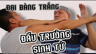 Đại Bàng Trắng Võ Đài Với Tuyệt Chiêu Chỏ Song Pháo Hạ Gục Hùm Xám Gò Công Trong Chớp Mắt