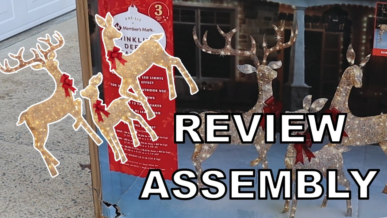 Sam's Club members mark Christmas deer family assembly YouTube