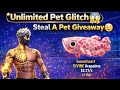 STELL A PET UNLIMITED GIVEAWAY | FREE FIRE COUSTOM ROOM GIVEAWAY 🎁✨