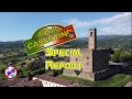 Rally del Casentino 2020 Special Report
