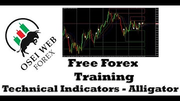 Free Forex Training - Technical Indicators   Alligator | Part 9