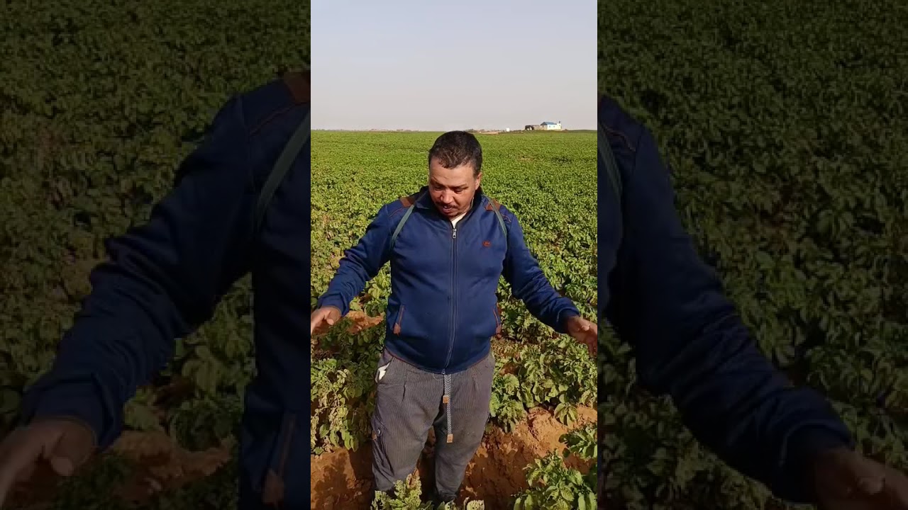 بسم الله توكلنا على الله من موريتانيا 🇲🇦🇲🇦🇲🇦🇲🇷🇲🇷🇲🇷