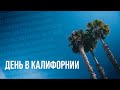 ДЕНЬ В КАЛИФОРНИИ. США ВЛОГ: ЭПИЗОД 1