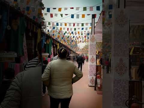 Video: Dilli Haat: Pasar Delhi Terbesar