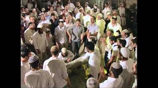 "סיני תור" - הערוץ הרשמי :תקציר חתונה