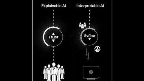 Differentiating Between Explainability and Interpretability