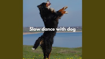 Suave Forgetting Mirrors