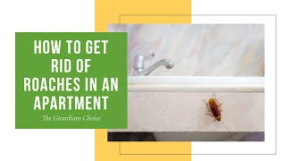 4 Ways to Get Rid Of Roaches In an Apartment | The Guardians Choice