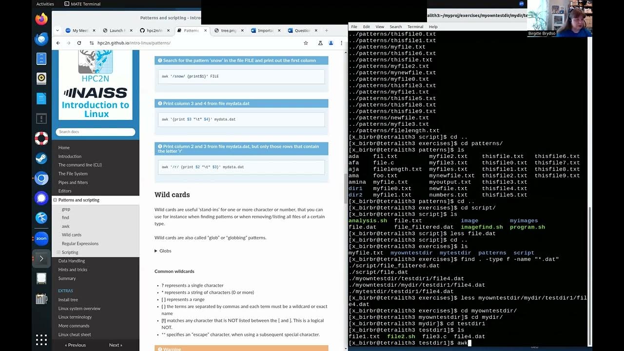 Lecture 6: Patterns and scripting (Linux) - YouTube