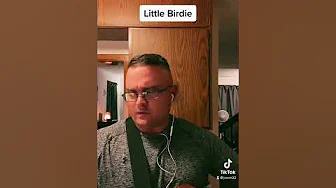 Little Birdie
