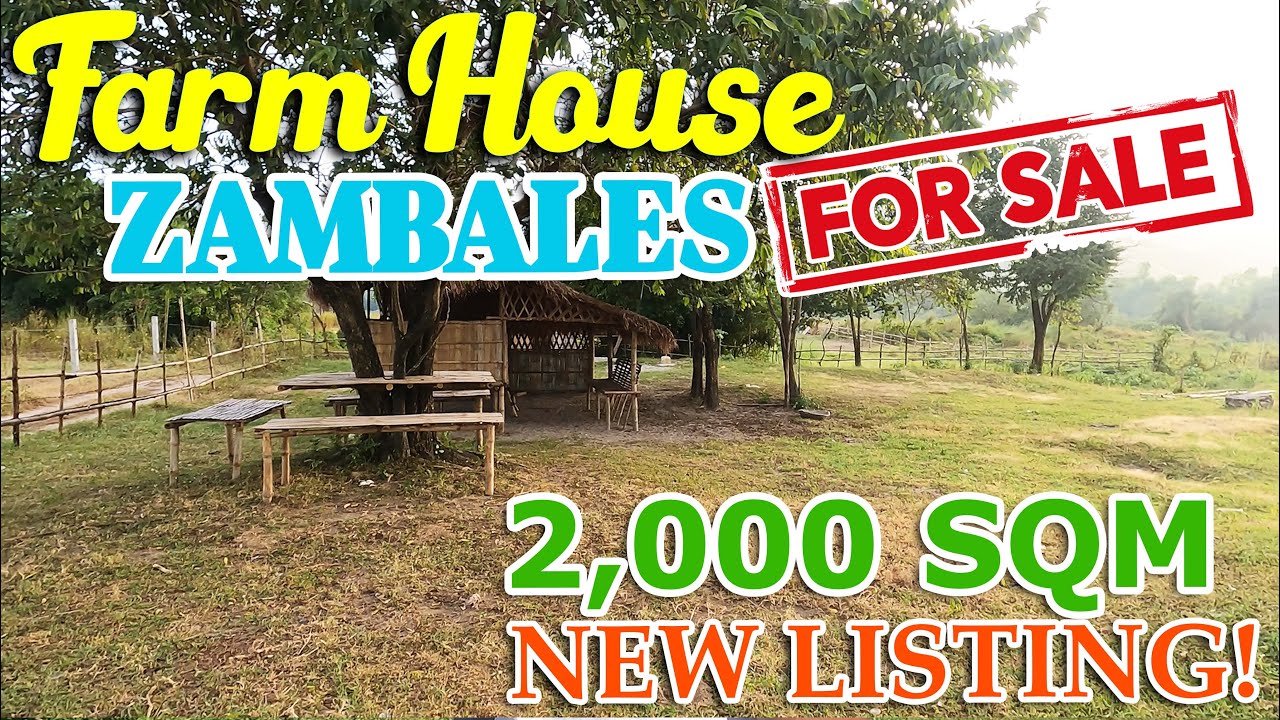 FARM HOUSE for Sale in Zambales with Land Title (2,000 SQM) YouTube
