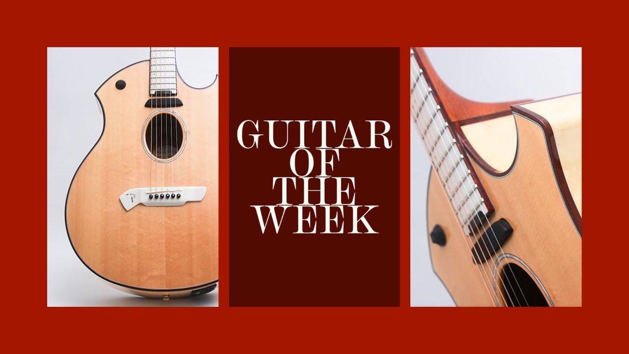 GUITAR OF THE WEEK! PARKER USA Electro Acoustic P10EN?! Squealing Pig