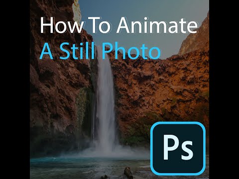 How to Animate