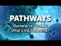 Pathways: Bacteria vs. Viruses: What's the Difference?