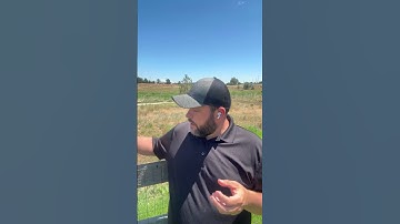 Boost Your Business Visibility with Alexa: The Ultimate Guide to Voice Search Optimization