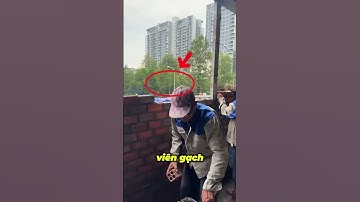 Liên kết giữa tường và cột thép như thế nào? Mời mọi người xem video nhé ? #nhakhungthep #thangthep