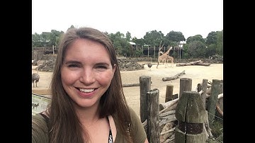 The making of the Central Interceptor video- memories!