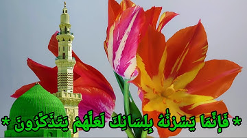 سورة الدخان بصوت الشيخ شيرزاد عبد الرحمن طاهر مكتوبة كاملة مع آية النور.