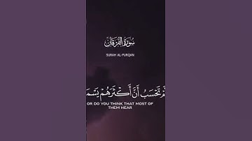 سورة الفرقان الشيخ خالد الجليل