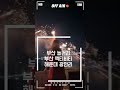 부산 놀거리 액티비티 한 요트 어때요?