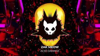 Zak Meow   Acid Damage VISUALIZER