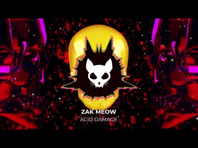 Zak Meow   Acid Damage VISUALIZER