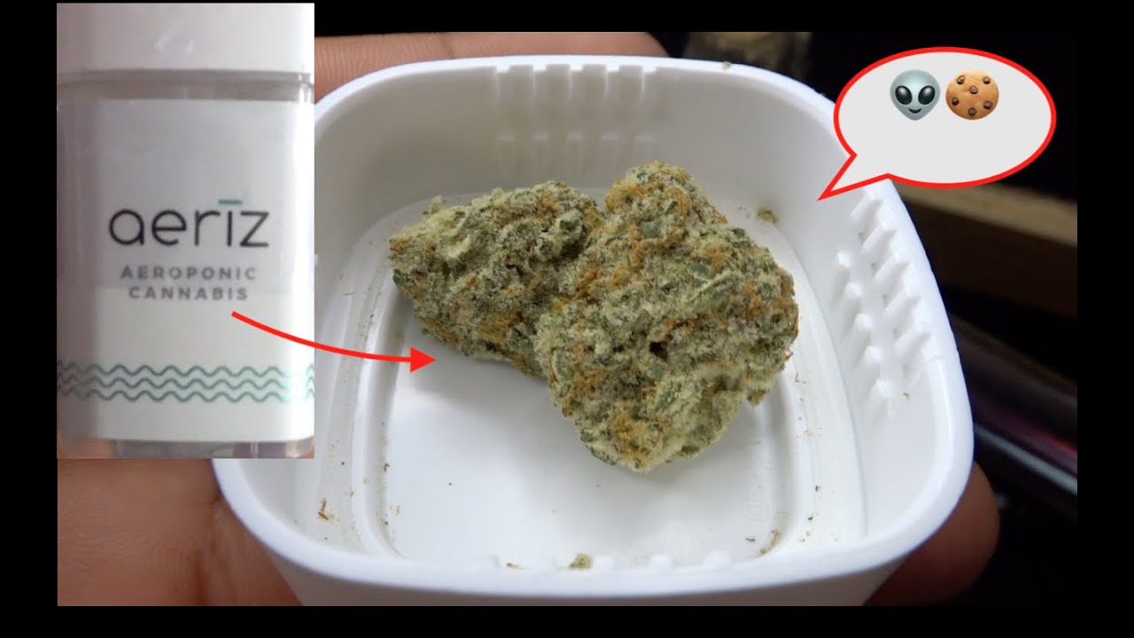 High Times Cannabis Cup: Aeriz *Mac 1* (Strain Review)