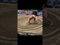 上戸VS竜鳳!2026年大相撲5月場所